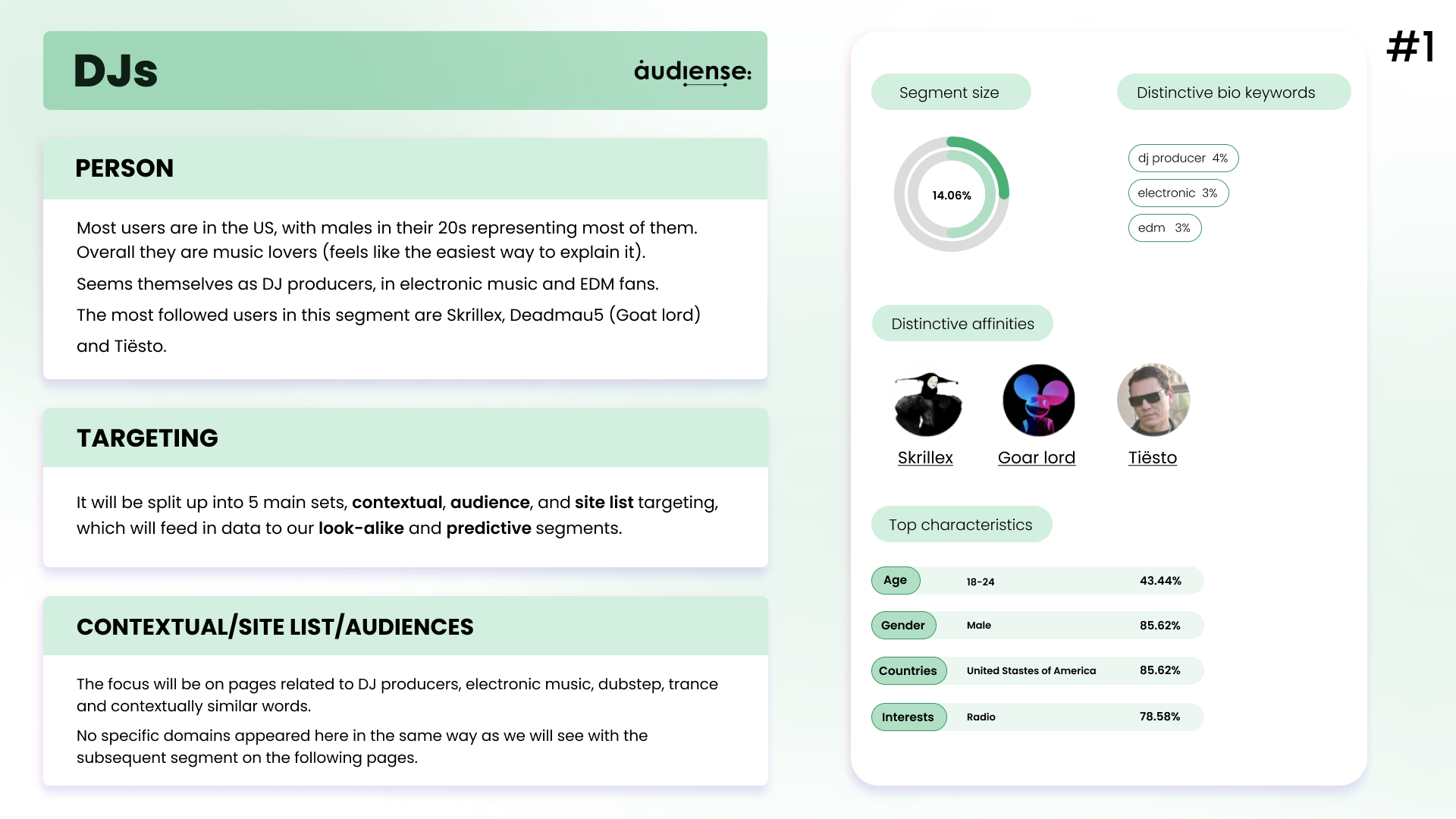 Audiense blog - segmento de DJs