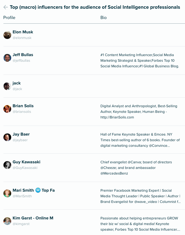 Audiense Insights - Social Intelligence - top macro influencers