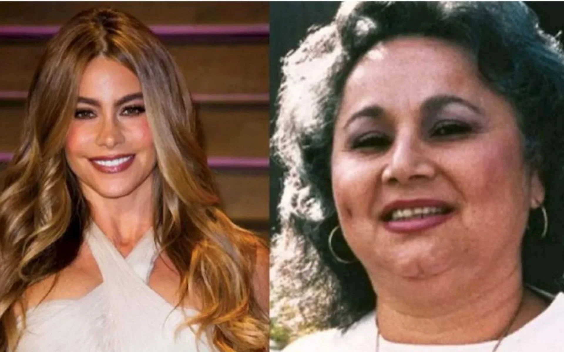 Audiense blog - Sofia Vergara y Griselda