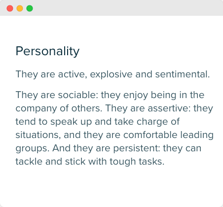 Audiense blog - image - Celsius's audience - Health & Fitness segment - personality 