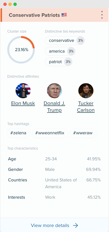 Audiense blog - imagen - Audiense Insights - segmento Conservative patriots